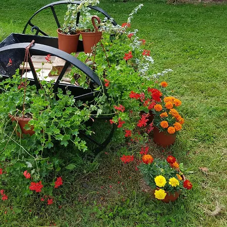 Mazurska Sielanka 아파트