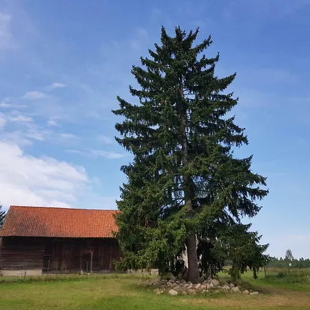 Mazurska Sielanka * Snopki